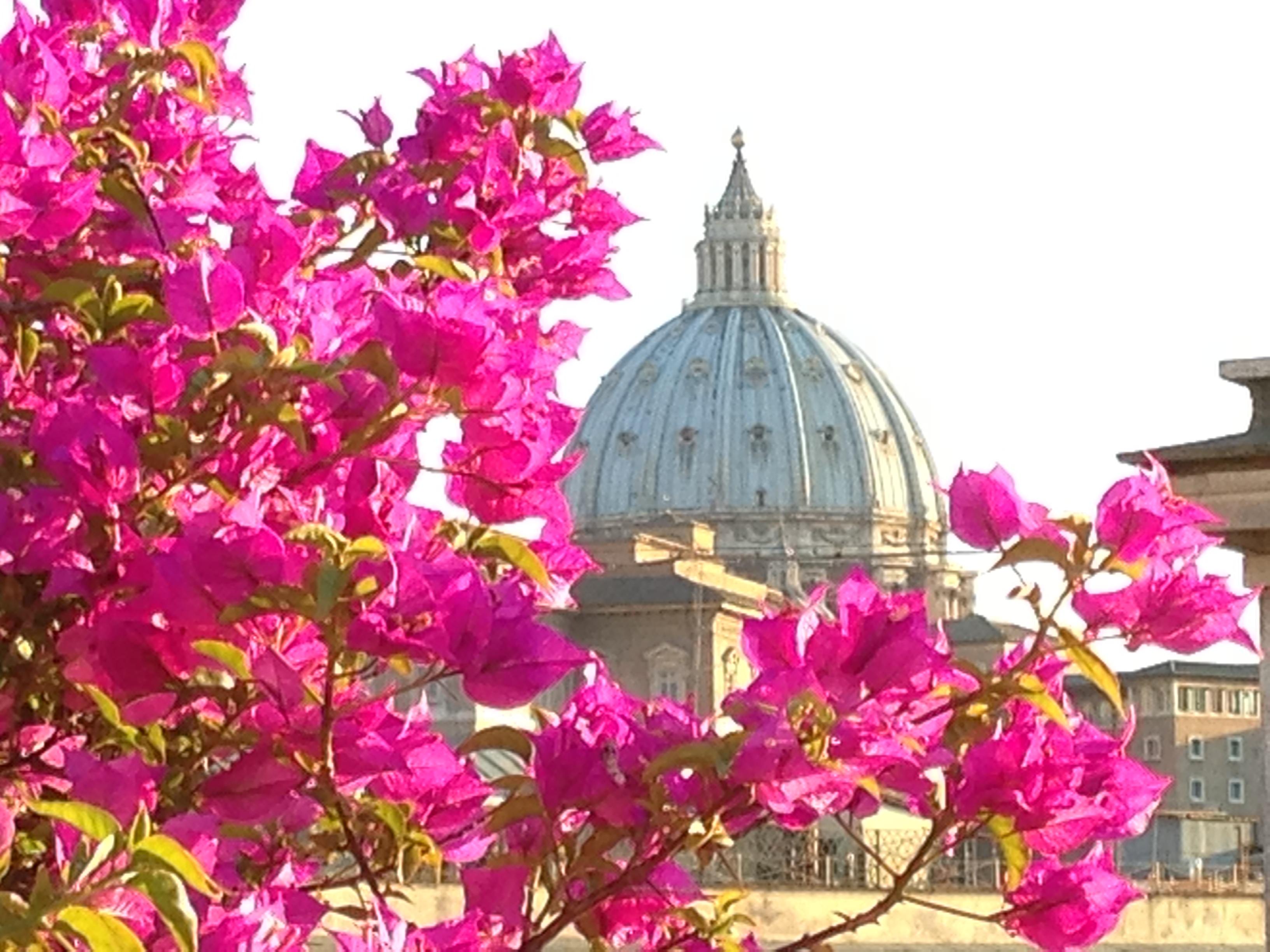 Dei Consoli Vaticano Hotel Rom